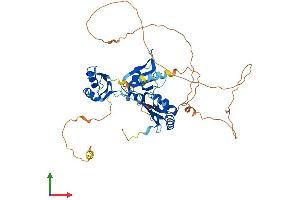 Protein Structure (PS) image for CUGBP, Elav-Like Family Member 5 (CELF5) (AA 1-485) protein (His tag) (ABIN7553121)