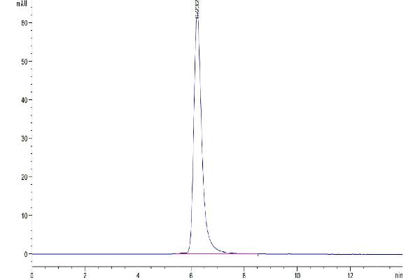 PLA2G1B Protein (AA 23-146) (Fc Tag)