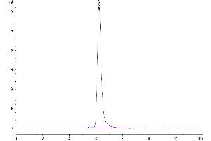 PLA2G1B Protein (AA 23-146) (Fc Tag)