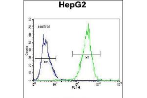 Flow cytometric analysis of HepG2 cells (right histogram) compared to a negative control cell (left histogram). (PPARD 抗体  (C-Term))