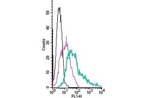 Cell surface detection of Histamine H1 Receptor by direct flow cytometry in live intact human  megakaryoblastic leukemia cells: + Rabbit IgG Isotype Control-FITC (ABIN7582044). (HRH1 抗体  (Extracellular) (FITC))