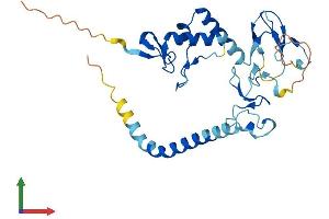 Protein Structure (PS) image for Ring Finger Protein 144A (RNF144A) (AA 1-292) protein (His tag) (ABIN7560272)