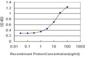 ELISA image for anti-Aspartyl-tRNA Synthetase (DARS) (AA 393-500) antibody (ABIN560561)