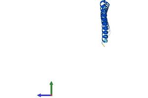 Protein Structure (PS) image for Synaptonemal Complex Central Element Protein 3 (SYCE3) (AA 1-88) protein (His tag) (ABIN7562068)