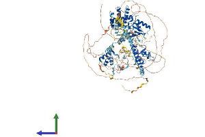 Protein Structure (PS) image for SWI/SNF Related, Matrix Associated, Actin Dependent Regulator of Chromatin, Subfamily C, Member 1 (SMARCC1) (AA 1-1104) protein (His tag) (ABIN7563559)