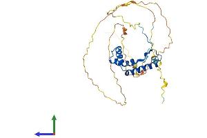 Protein Structure (PS) image for SRY (Sex Determining Region Y)-Box 12 (SOX12) (AA 1-314) protein (His tag) (ABIN7556892)