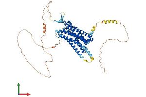 AlphaFold protein structure predicition of Human Recombinant NPFFR2 Protein, UniprotID Q9Y5X5