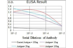 Red: Control Antigen (100ng) ; Purple: Antigen (10ng) ; Green: Antigen (50ng) ; Blue: Antigen (100ng). (BMPR1A 抗体  (AA 179-378))