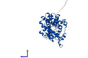 Protein Structure (PS) image for Stearoyl-CoA Desaturase (Delta-9-Desaturase) (SCD) (AA 1-355) protein (His tag) (ABIN7562859)