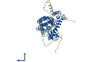 AlphaFold protein structure predicition of Mouse Recombinant Slc1a5 Protein, UniprotID P51912 (SLC1A5 Protein (AA 1-553) (His tag))