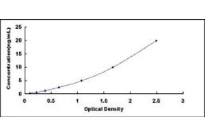 Typical standard curve (SBEM ELISA 试剂盒)