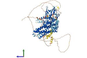 Protein Structure (PS) image for rho Guanine Nucleotide Exchange Factor (GEF) 1 (ARHGEF1) (AA 1-912) protein (His tag) (ABIN7552379)