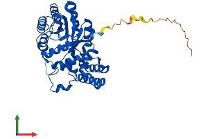 Protein Structure (PS) image for Aflatoxin Beta1 Aldehyde Reductase (AKR7A2) (AA 1-359) protein (His tag) (ABIN7552355)