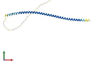 Protein Structure (PS) image for Family with Sequence Similarity 9, Member B (FAM9B) (AA 1-186) protein (His tag) (ABIN7547691)