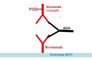 Image no. 1 for Nivolumab Antibody ELISA Kit (ABIN5012828) (Nivolumab Antibody ELISA 试剂盒)