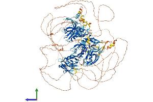 Protein Structure (PS) image for Membrane Associated Guanylate Kinase, WW and PDZ Domain Containing 3 (MAGI3) (AA 1-1476) protein (His tag) (ABIN7565036)