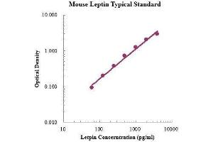 ELISA image for Leptin (LEP) ELISA Kit (ABIN3198593)
