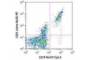 Flow Cytometry (FACS) image for anti-Complement Component (3d/Epstein Barr Virus) Receptor 2 (CR2) antibody (PE) (ABIN2662538) (CD21 抗体  (PE))