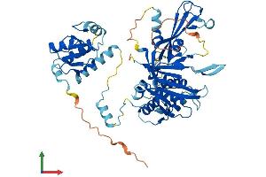 Protein Structure (PS) image for Ubiquitin Specific Peptidase 22 (USP22) (AA 1-525) protein (His tag) (ABIN7544919)