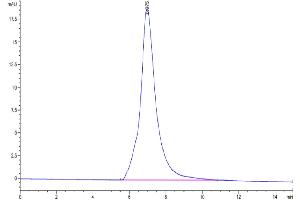 The purity of Biotinylated Human IL-1 Rrp2 is greater than 95 % as determined by SEC-HPLC. (IL1RL2 Protein (AA 20-335) (His-Avi Tag,Biotin))