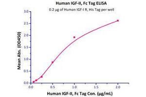 Binding Studies (Bind) image for Insulin-Like Growth Factor 1 Receptor (IGF1R) (AA 31-932) (Active) protein (His tag) (ABIN2181260)