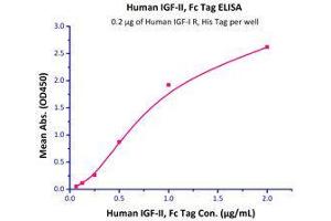 Immobilized Human IGF-I R, His Tag (Cat# IGR-H5229) at 2μg/mL (100 µl/well),can bind Human IGF-II, Fc Tag (Cat# IG2-H4260) with a linear range of 0. (IGF1R Protein (AA 31-932) (His tag))