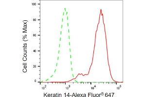 Flow cytometric analysis of Keratin 14 expression in HaCaT cells using Keratin 14 antibody (ABIN7799167), 1:2,000).