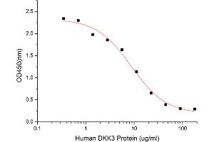 DKK3 (AA 22-350) (Active) protein (His tag)