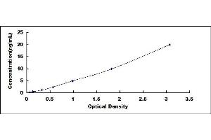 Typical standard curve (FLASH ELISA 试剂盒)