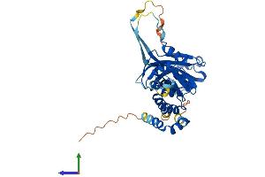 AlphaFold protein structure predicition of Mouse Recombinant Spopl Protein, UniprotID Q2M2N2