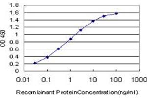 Detection limit for recombinant GST tagged FADD is approximately 0. (FADD 抗体  (AA 109-208))