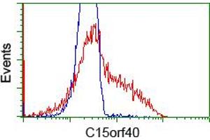 HEK293T cells transfected with either RC205773 overexpress plasmid (Red) or empty vector control plasmid (Blue) were immunostained by anti-C15orf40 antibody (ABIN2452852), and then analyzed by flow cytometry. (C15orf40 抗体)