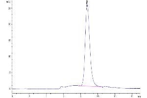 The purity of Biotinylated Human Fc gamma RI/CD64 is greater than 95 % as determined by SEC-HPLC.