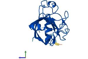 Protein Structure (PS) image for Peptidylprolyl Isomerase (Cyclophilin)-Like 1 (PPIL1) (AA 1-166) protein (His tag) (ABIN7560859)