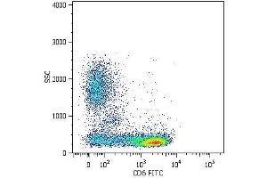 Surface staining of human peripheral blood cells with anti-human CD6 (MEM-98) FITC. (CD6 抗体  (PE))