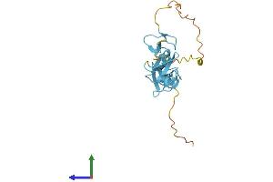 Protein Structure (PS) image for Cysteine and Glycine-Rich Protein 1 (CSRP1) (AA 1-193) protein (His tag) (ABIN7546752)