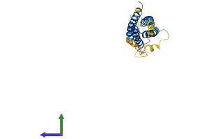 Protein Structure (PS) image for Na+/K+ Transporting ATPase Interacting 2 (NKAIN2) (AA 1-208) protein (His tag) (ABIN7549883)