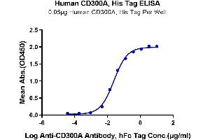 Immobilized Human CD300A, His Tag at 0. (CD300a Protein (CD300A) (AA 18-180) (His tag))