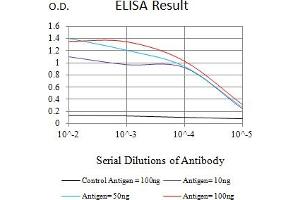 Black line: Control Antigen (100 ng),Purple line: Antigen (10 ng), Blue line: Antigen (50 ng), Red line:Antigen (100 ng) (CD8 alpha 抗体  (AA 22-235))