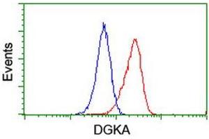 Flow Cytometry (FACS) image for anti-Diacylglycerol Kinase, alpha 80kDa (DGKA) antibody (ABIN1497815) (DGKA 抗体)