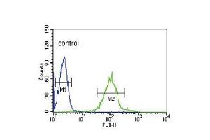 Flow cytometric analysis of HL-60 cells (right histogram) compared to a negative control cell (left histogram). (IRF8 抗体  (C-Term))