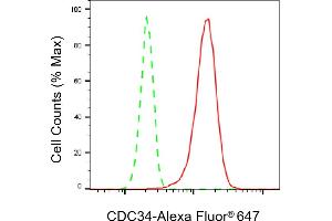 Flow cytometric analysis of CDC34 expression in HT- cells using CDC34 antibody (ABIN7798008), 1:2,000). (Recombinant CDC34 抗体)