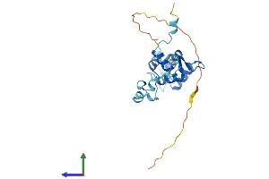AlphaFold protein structure predicition of Human Recombinant TPPP Protein, UniprotID O94811
