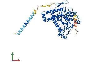AlphaFold protein structure predicition of Human Recombinant TPST2 Protein, UniprotID O60704