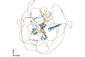 Protein Structure (PS) image for Transcriptional Regulating Factor 1 (TRERF1) (AA 1-1205) protein (His tag) (ABIN7564456)