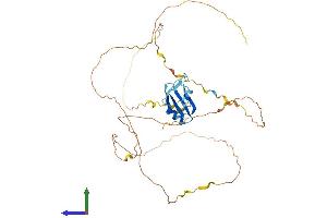 Protein Structure (PS) image for RNA Binding Motif Protein, X-Linked (RBMX) (AA 1-391) protein (His tag) (ABIN7555126)