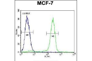 Flow cytometric analysis of MCF-7 cells (right histogram) compared to a negative control cell (left histogram). (OTOP3 抗体  (C-Term))