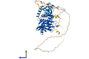 Protein Structure (PS) image for K(lysine) Acetyltransferase 5 (KAT5) (AA 1-513) protein (His tag) (ABIN7564585)