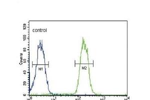 Flow Cytometry (FACS) image for anti-ATP-Binding Cassette, Sub-Family C (CFTR/MRP), Member 3 (ABCC3) (AA 899-925) antibody (ABIN654103)