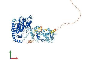 Protein Structure (PS) image for Lysophosphatidylcholine Acyltransferase 2 (LPCAT2) (AA 1-544) protein (His tag) (ABIN7564464)